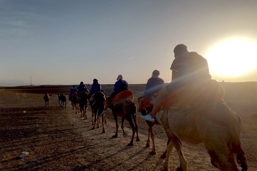 Sunset Camel Riding in Agafay Desert and Dinner in Chouf L'Or in Marrakech