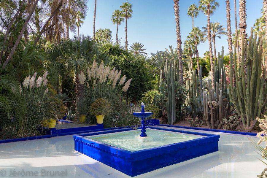 Horse Carriage and Visit of Majorelle Garden Tour