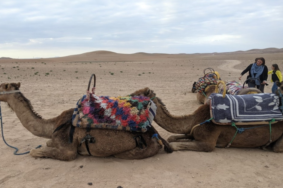 Agafay Night Desert Tour for 2 days 