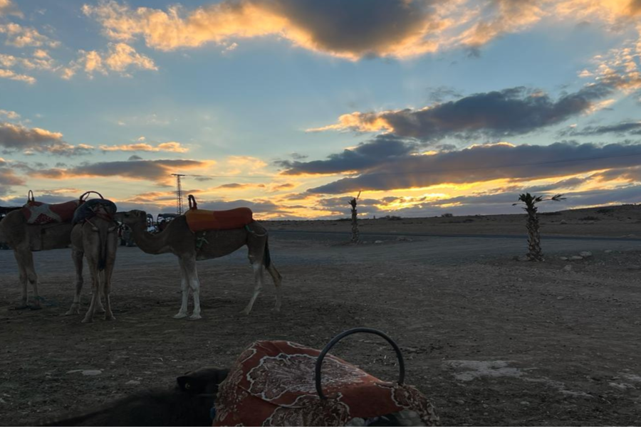 Day Trip Atlas Mountain with Sunset Camel Trekking in Agafay Sahara