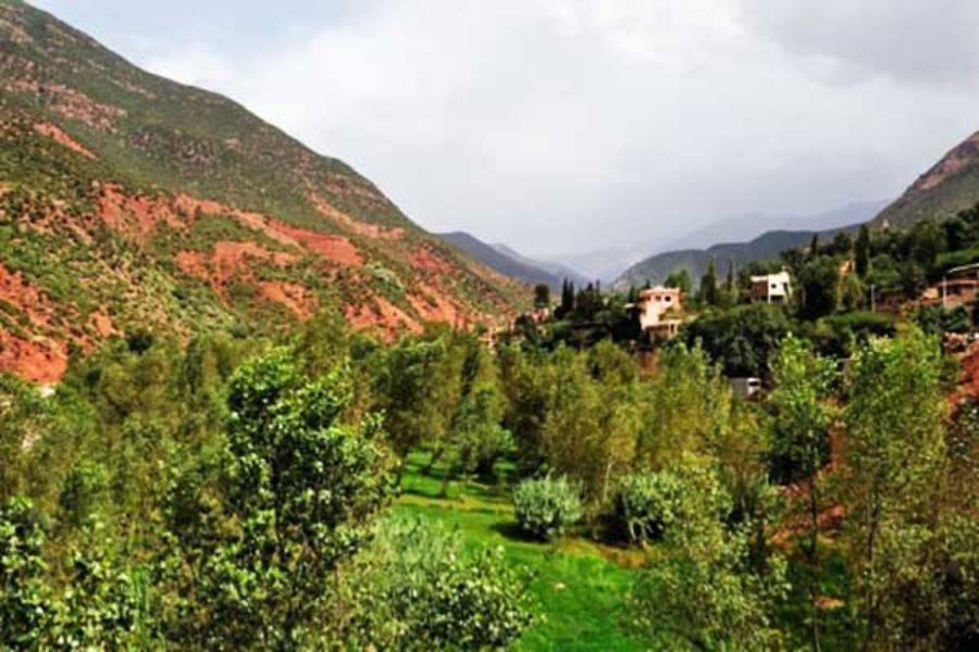 2 Days Toubkal Mountain Climb 