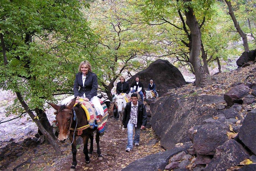 Day Trip to Asni and Imlil from Marrakech
