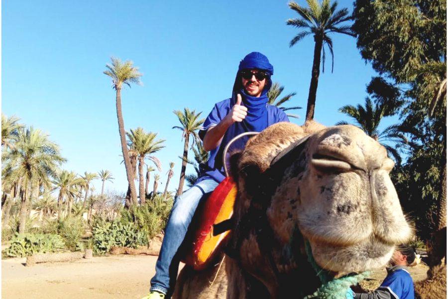 Camel Ride in the Palmeraie & Spa Treatment 
