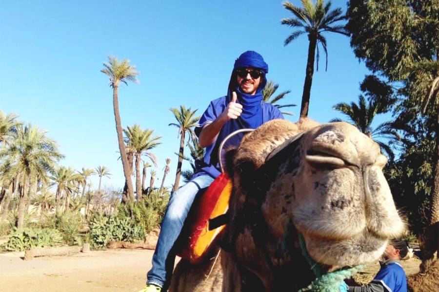 Buggy & Camel Ride Extreme Adventure at Palmeraie Marrakech