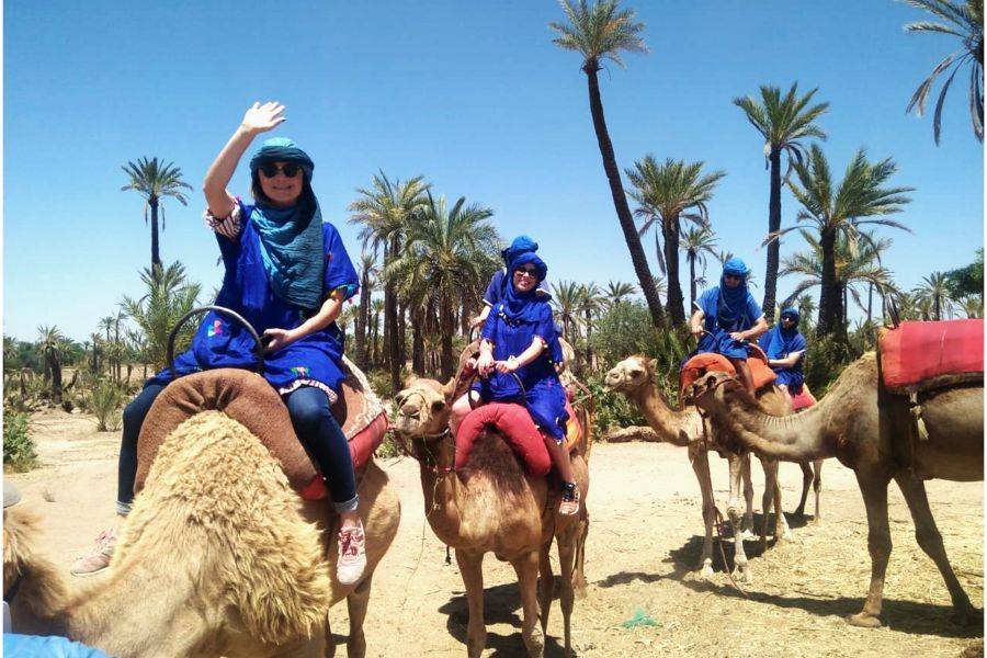 Camel Ride in the Palmeraie & Spa Treatment 