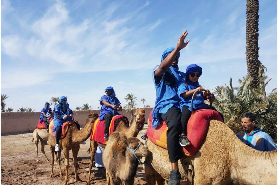 Camel Ride in the Palmeraie & Spa Treatment 