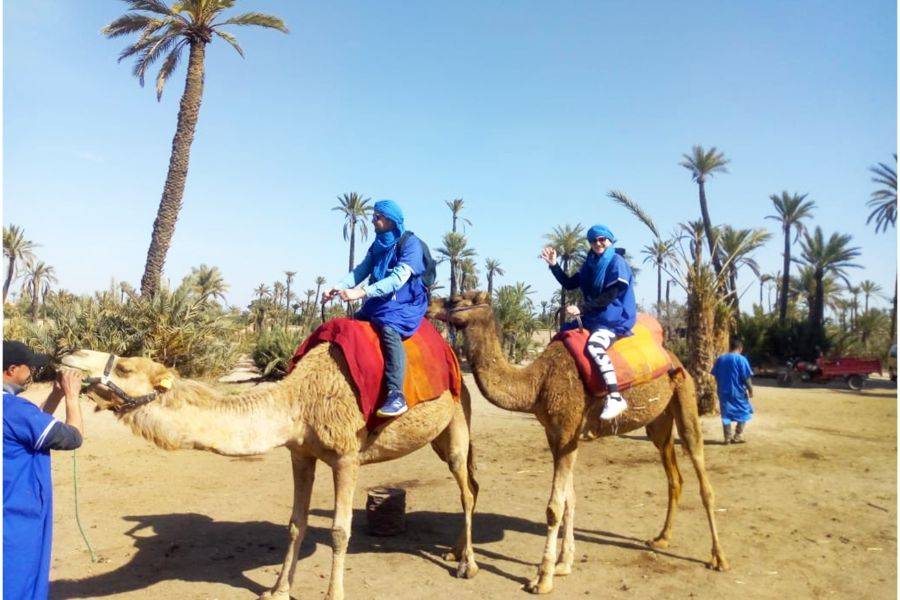 Camel Ride in the Palmeraie & Spa Treatment 