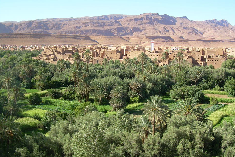 Ouarzazate, Kasbah Ait ben haddou & Oasis Fint 2 days Tour