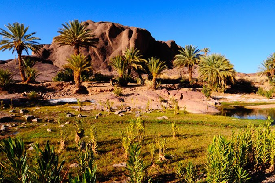 Ouarzazate, Kasbah Ait ben haddou & Oasis Fint 2 days Tour