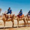 Camel ride in the palmeraie Marrakech