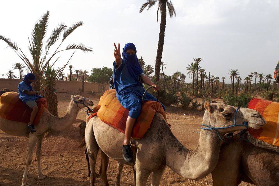 Camel Ride in the Palmeraie & Spa Treatment 