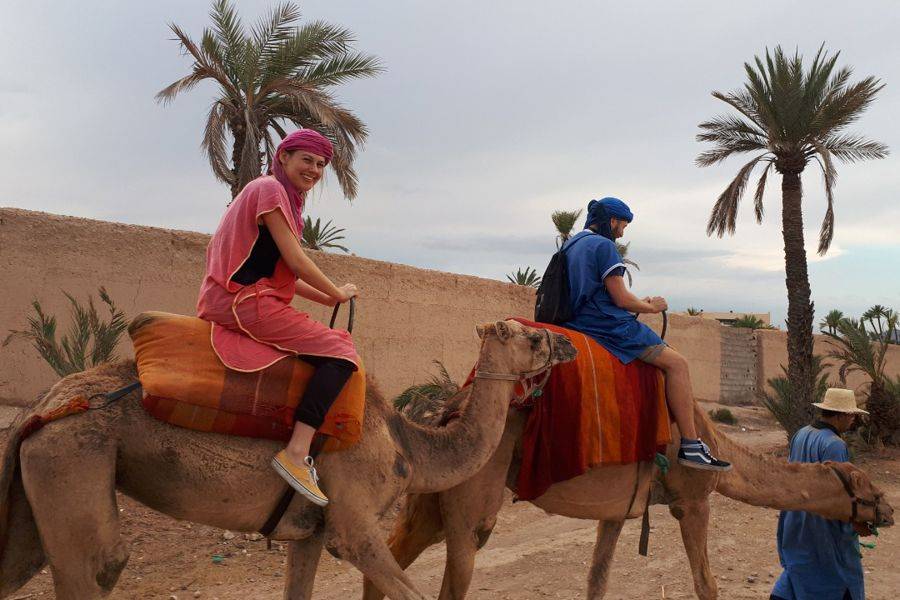 Camel Ride in the Palmeraie & Spa Treatment 