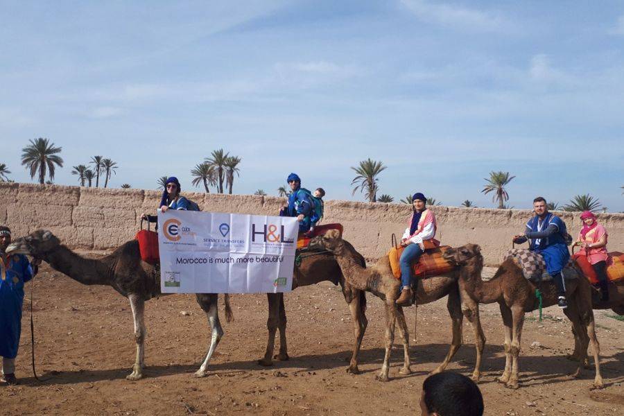 Camel Ride in the Palmeraie & Spa Treatment 