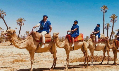 Camel ride in the palmeraie Marrakech