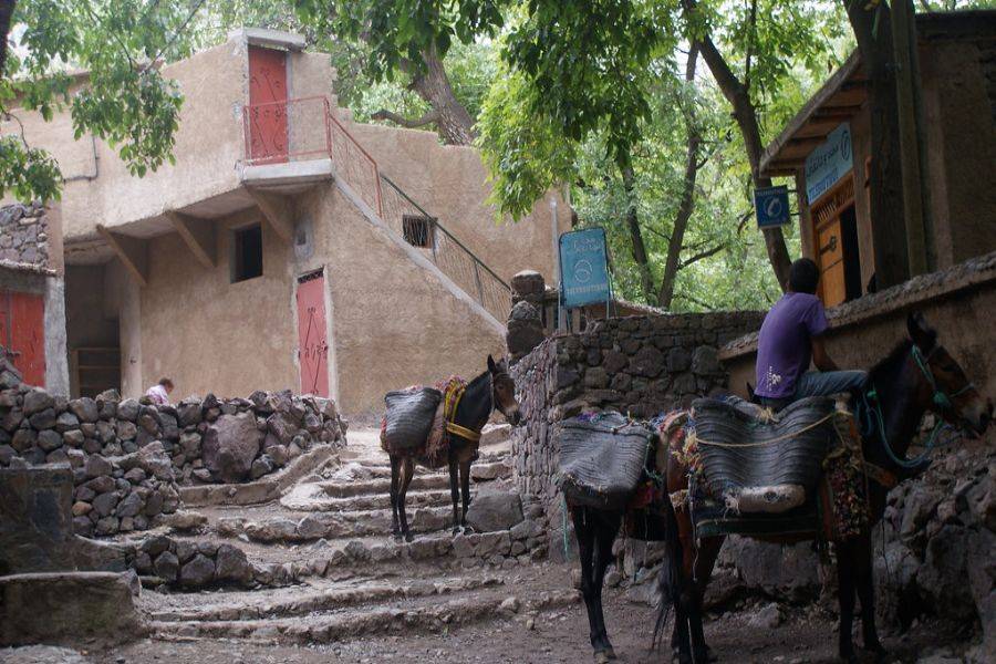 Day Trip to Asni and Imlil from Marrakech