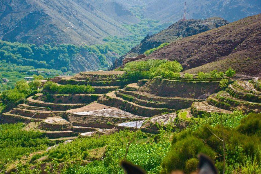 Day Trip to Asni and Imlil from Marrakech