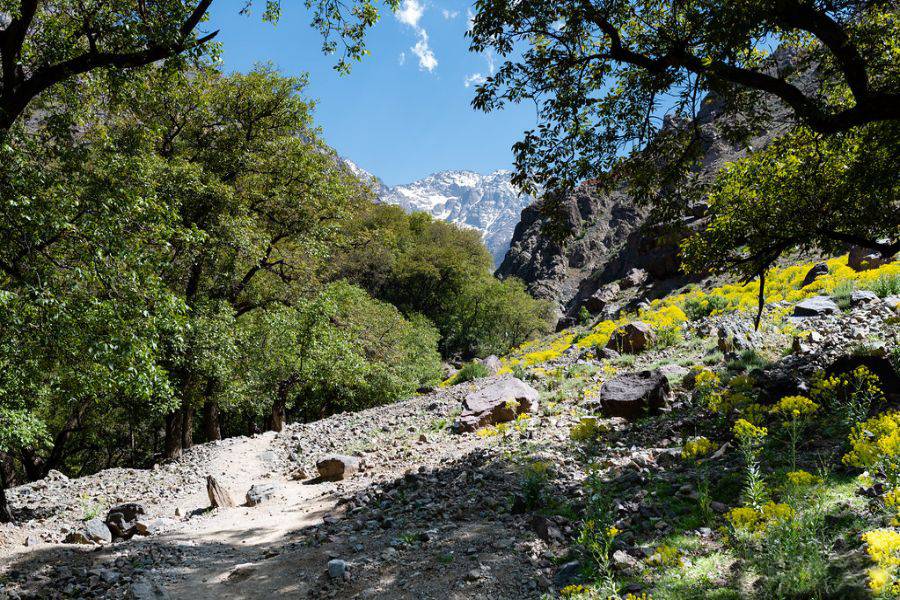 Day Trip to Asni and Imlil from Marrakech