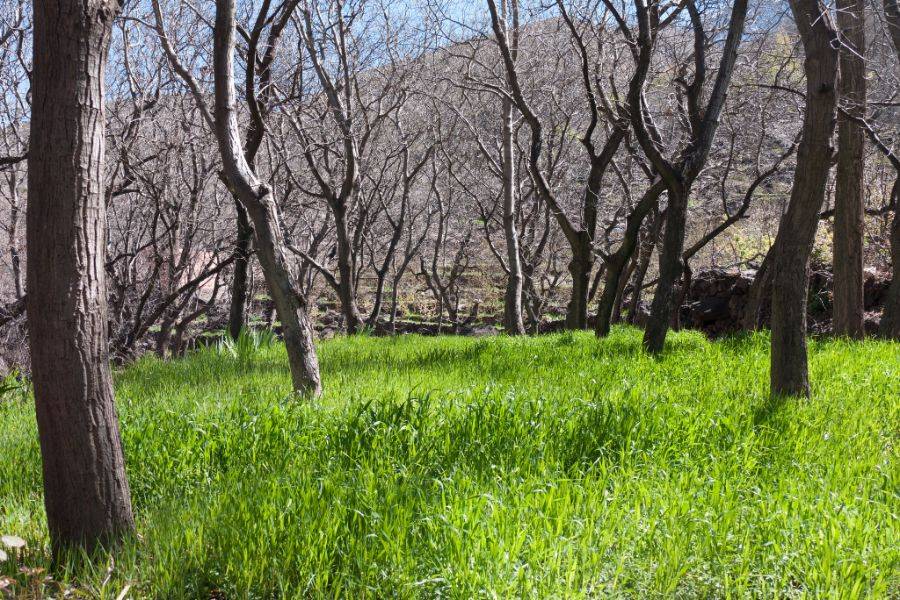 Day Trip to Asni and Imlil from Marrakech