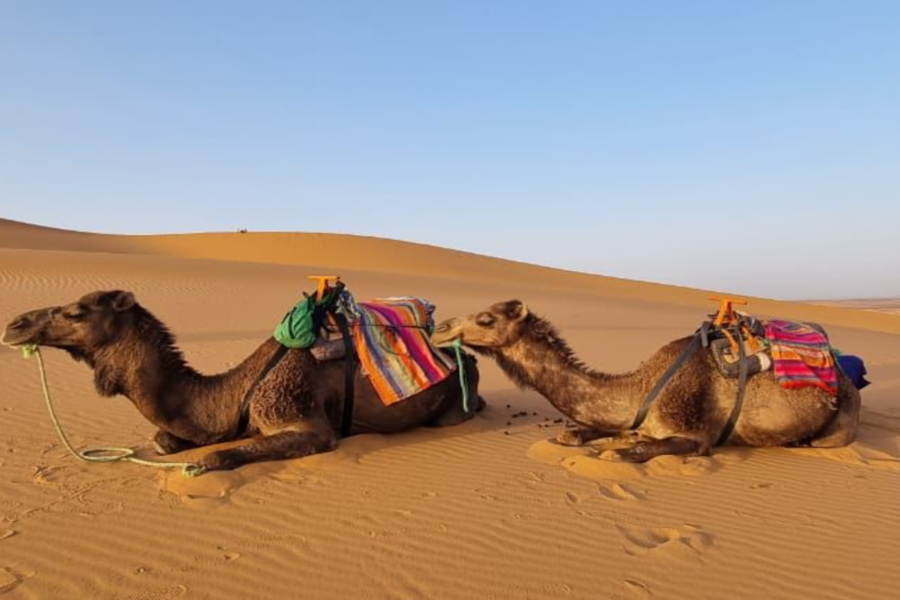 3 days Desert Merzouga days Trip from Marrakech