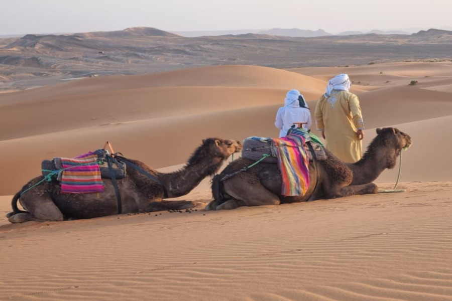 3 days Desert Merzouga days Trip from Marrakech