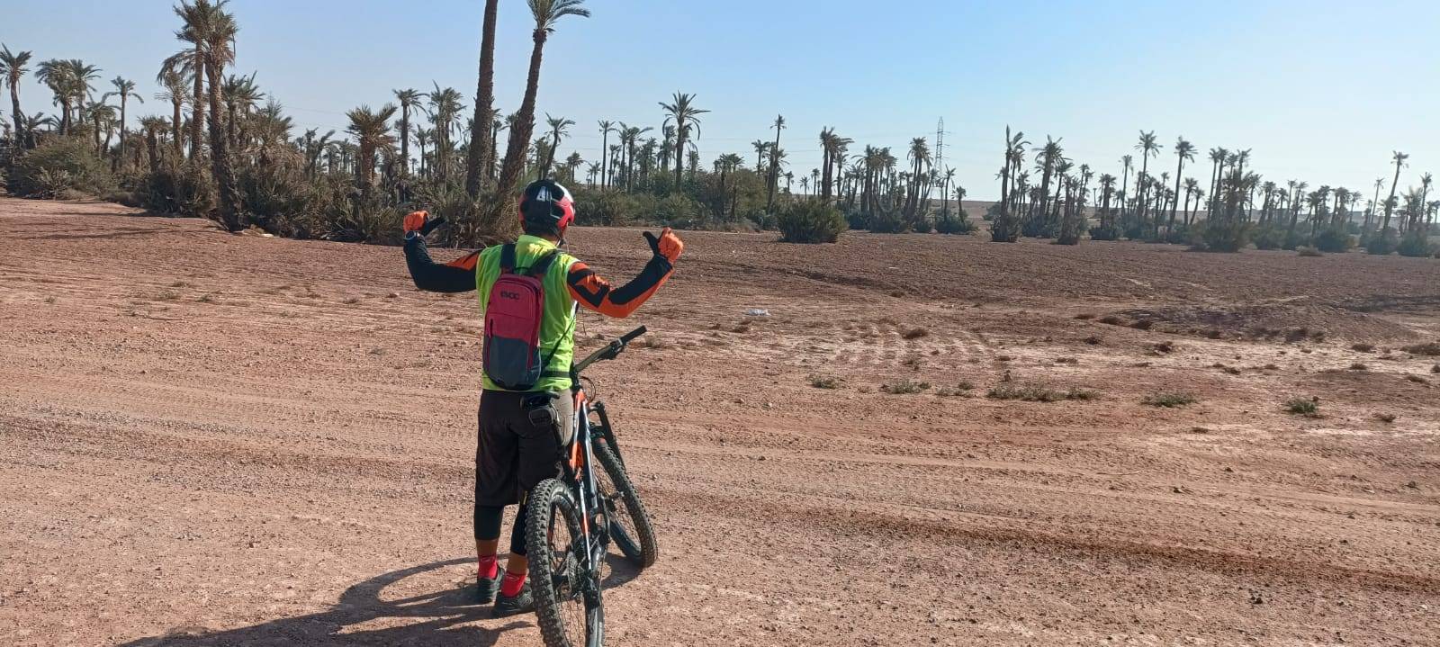 Bike Tours in Palmeraie Marrakech half day