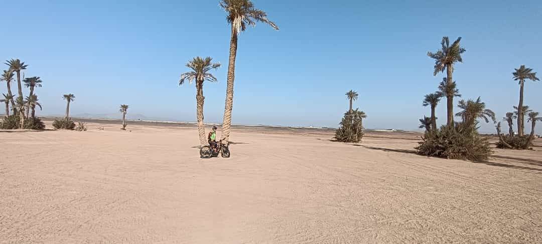 Bike Tours in Palmeraie Marrakech half day