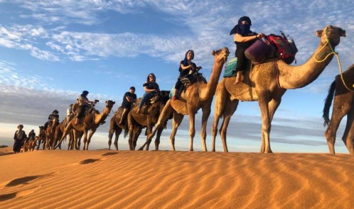 Zagora Desert Trip 2 Days Starting form Agadir