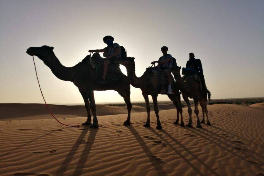 Fez 4 Days Desert Tour to Marrakech