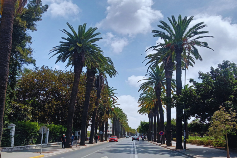 Casablanca Day Trip from Marrakech — Hassan II Mosque & City Tour
