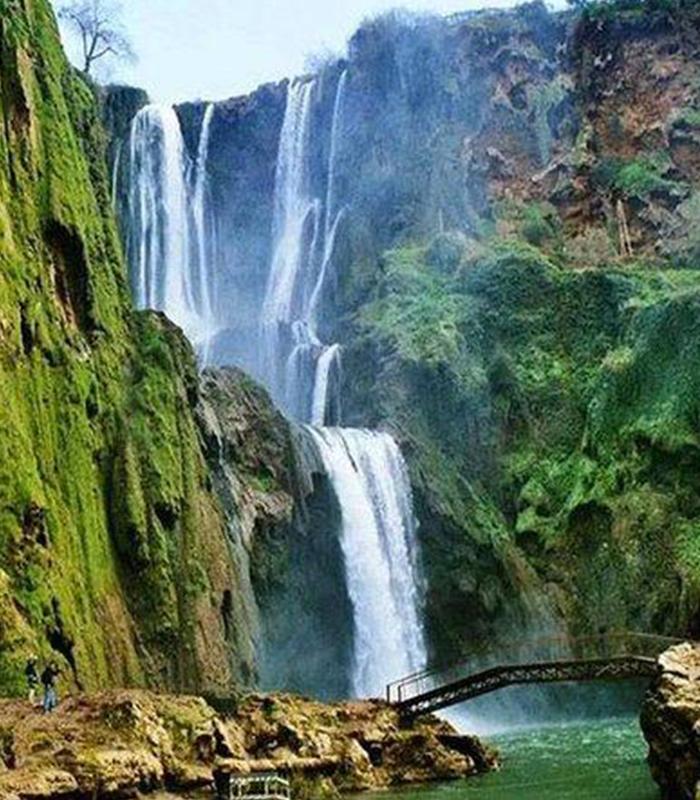 Nature & Landscapes